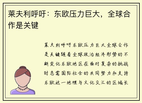 莱夫利呼吁：东欧压力巨大，全球合作是关键