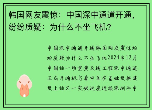 韩国网友震惊：中国深中通道开通，纷纷质疑：为什么不坐飞机？