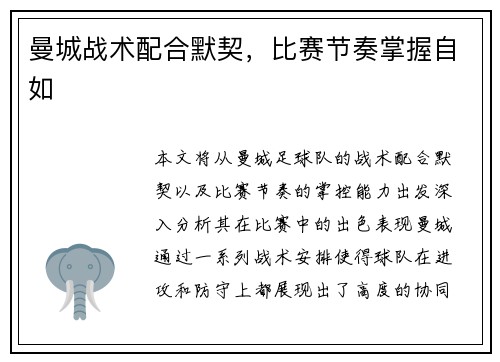 曼城战术配合默契，比赛节奏掌握自如